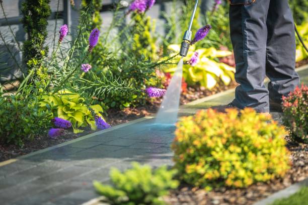 Best Gutter Cleaning  in Taft Mosswood, CA