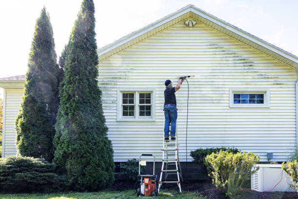 Best Soft Washing  in Taft Mosswood, CA